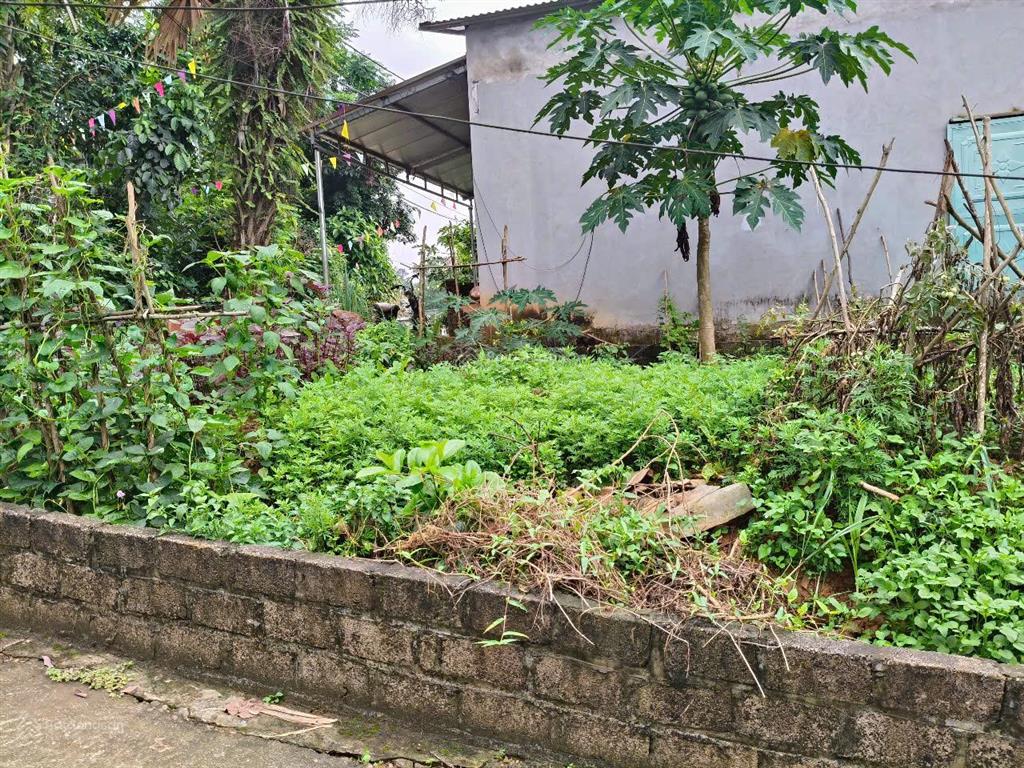 Lô góc 2 mặt tiền dài miên man, siêu đẹp tại thôn nội,minh quang,ba vì,hà nội. cách tl415 chỉ 200m