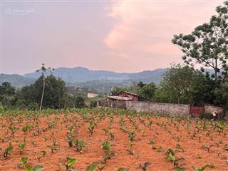 Mảnh đất nghỉ dưỡng siêu lý tưởng minh quang, ba vì, hn, view núi, view sông, gần hồ, sát đường tl