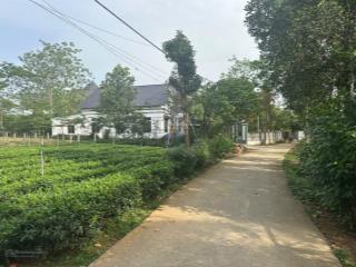 Hàng f0 bao sổ, bao ranh giới tại ba trại, ba vì, hn. cách đường nhựa 400m, cách k9, trường học 1km