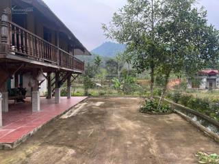 Khuân viên nghỉ dưỡng sẵn nhà sàn full tiện ích vườn hoa cây trái tiểu cảnh tại thanh sơn phú thọ