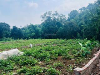 Mảnh đất 15m mặt tiền, view sông đà, cách tl86 chỉ vài phút chạy xe tại thuần mỹ, ba vì, hà nội