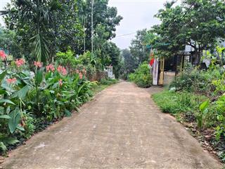 Đất nghỉ dưỡng view thoáng minh quang, ba vì, hn. cách trường thcs minh quang, chợ mộc vài trăm mét