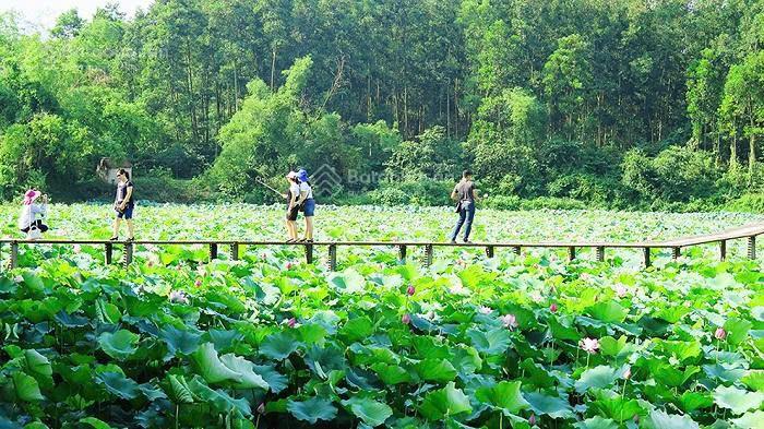 Đất giáp quần thể nghỉ dưỡng kdl đầm long, gần đường trục chính, khu dân cư, full dịch vụ tiện ích