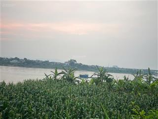 Hàng mới ra thị trường  đất ba vì, hà nội bám mặt đường tl view núi ba vì, view sông đà tuyệt đẹp