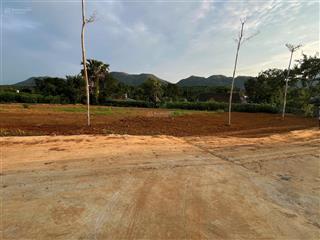 Siêu phẩm đất 72,3m mt tách được làm 9 sổ xung quanh là khu phân lô đường thông rộng view đẹp