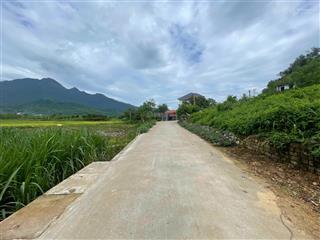 Đất nghỉ dưỡng 2 mặt tiền size nhỏ tại đa cuống, vân hoà, ba vì, hà nội. view đồng, view núi thoáng