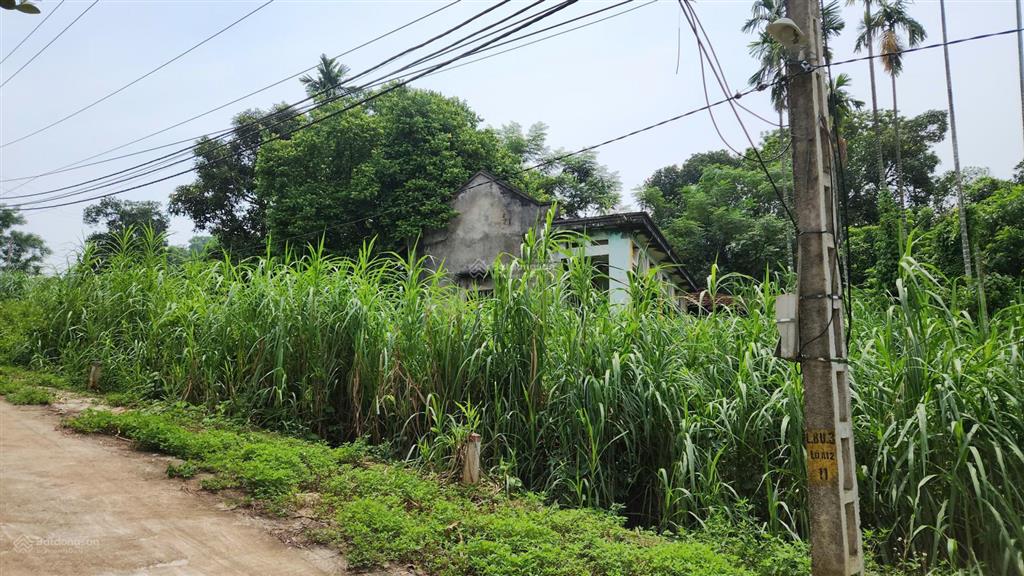 Siêu phẩm nghỉ dưỡng mới tinh thuộc tuyến 2 đường tl, cách tl415 chỉ 200m ở liên bu, minh quang, hn