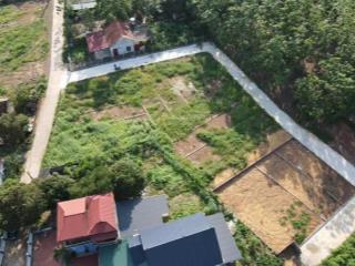 Duy nhất ô đất full đất ở bao phí sang tên ở cẩm lĩnh, gần hồ suối hai, cách đường nhựa xe bus 200m
