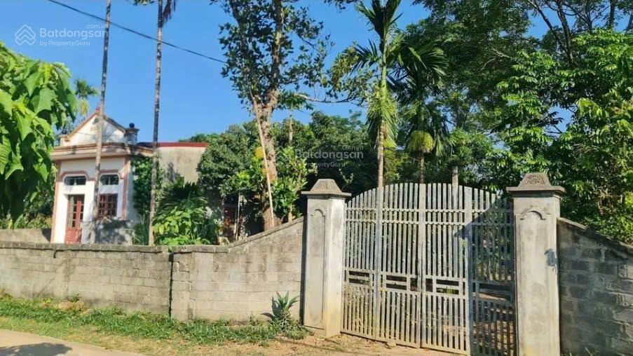 Mảnh đất tuyến 2 đường tỉnh lộ, cách tl86 chỉ 200m ở thôn 2, suối hai, hà nội (xã ba trại cũ)