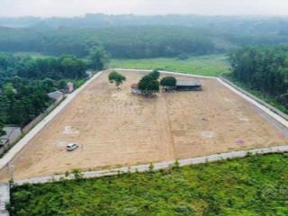 Chỉ 7xx tr sở hữu ngay sổ đỏ lô đất trồng cây lâu năm 1000m2 tại đông phượng, cẩm lĩnh, ba vì, hn