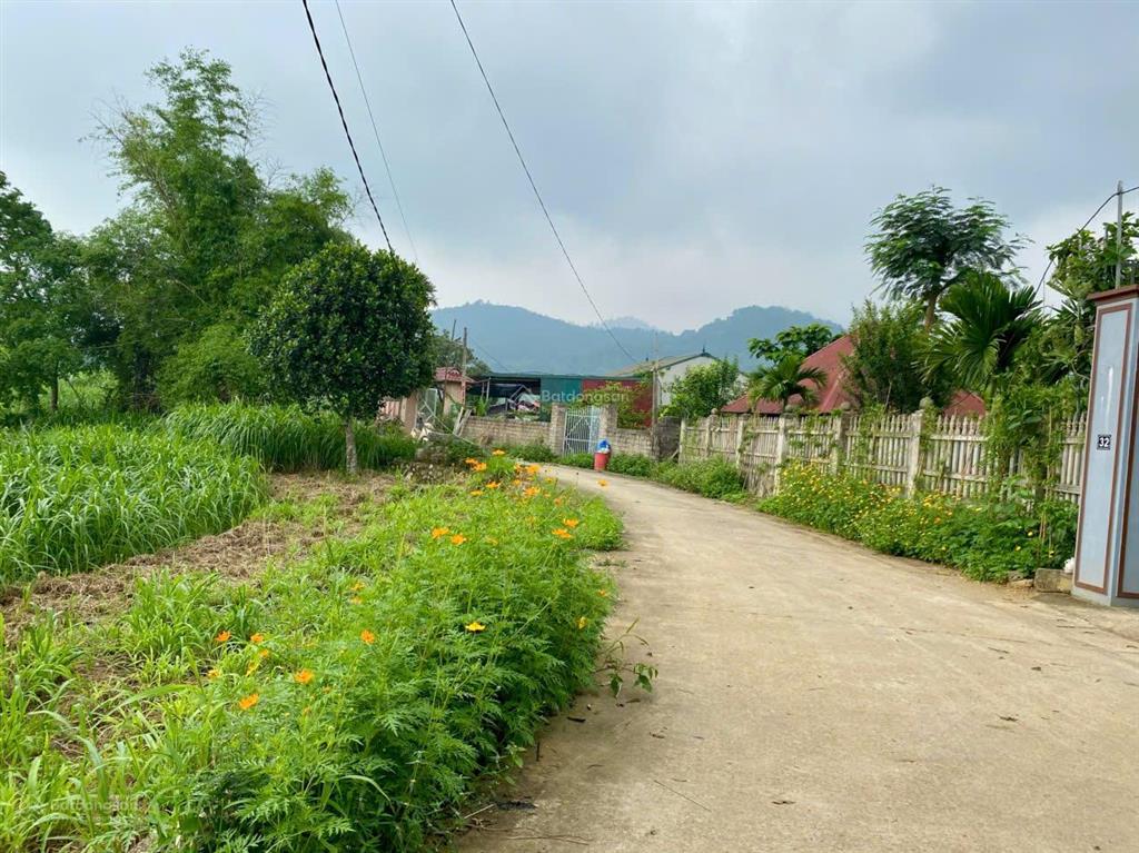Mảnh đất hoa hậu sẵn nhà đẹp, view núi, cánh đồng, xung quanh nhiều homesstay đang kinh doanh