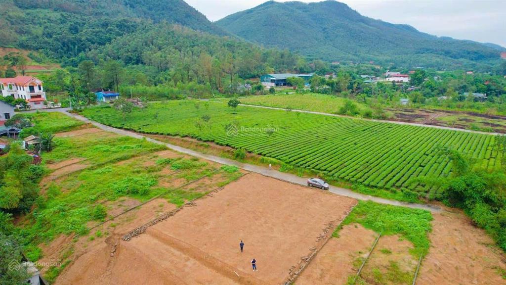 Lô đất nghỉ dưỡng thuộc làn trong đường hồ chí minh tại tu vũ,thanh thủy, pt view đồi chè xanh mướt