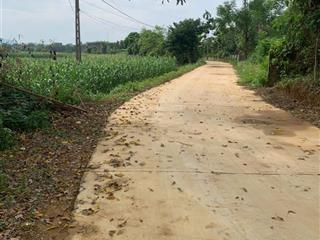 Hàng mới  lô đất gần 15m mặt tiền, view cánh đồng, cách đường nhựa 500m tại tu vũ, thanh thủy, pt
