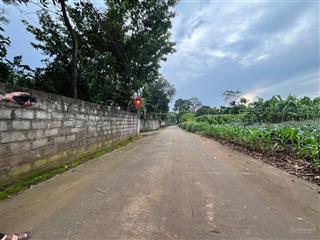 Lô đất nông trường 2 mặt tiền trước  sau tại thuần mỹ, cách tl86 chỉ 50m, cách tl414c khoảng 300m