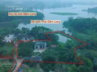 Mảnh đất nghỉ dưỡng 45m mt bám hồ sen đầm long, giá cực rẻ, sẵn nhà c4, ao nhỏ, vườn cây ăn trái