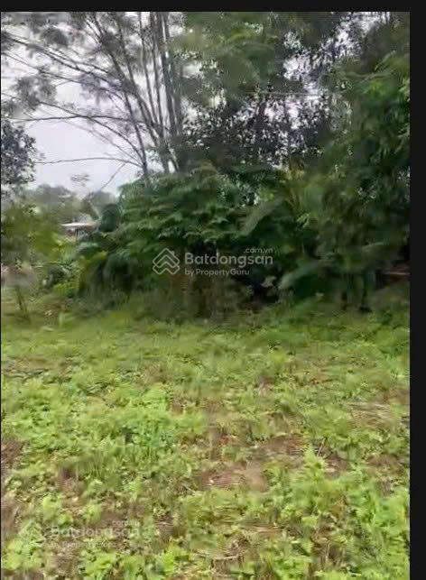 Lô đất trung tâm xã ba trại, sẵn ao nhỏ, cách trục chính 20m, tl86 (xe bus), chợ, ub xã, trạm 300m