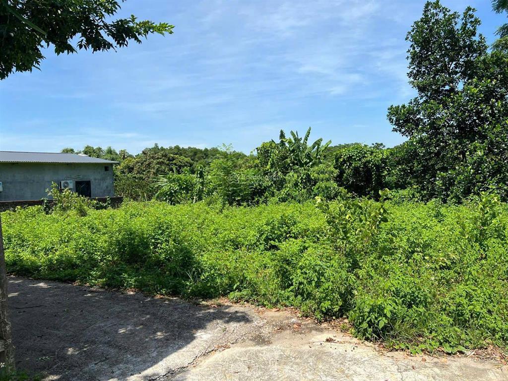 Lô đất trung tâm xã ba trại, sẵn ao nhỏ, cách trục chính 20m, tl86 (xe bus), chợ, ub xã, trạm 300m