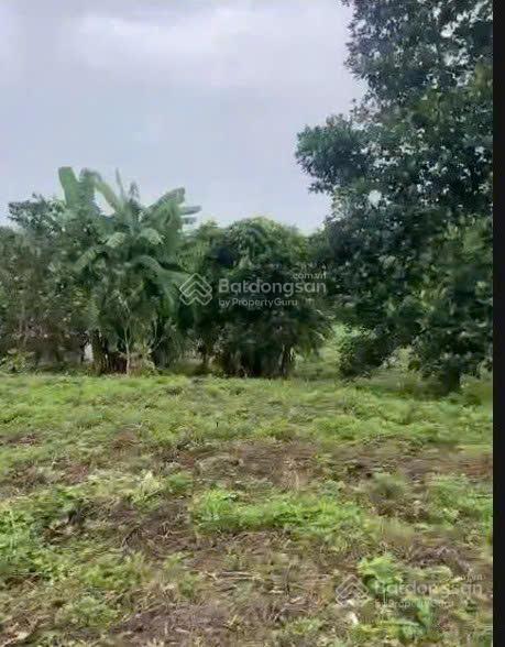 Lô đất trung tâm xã ba trại, sẵn ao nhỏ, cách trục chính 20m, tl86 (xe bus), chợ, ub xã, trạm 300m