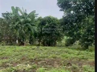 Lô đất trung tâm xã ba trại, sẵn ao nhỏ, cách trục chính 20m, tl86 (xe bus), chợ, ub xã, trạm 300m