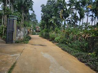 Mảnh đất nghỉ dưỡng thôn nội, minh quang, đường thông, có 19,5m mặt tiền=hậu, view núi ba vì thoáng
