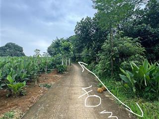 Lô đất nghỉ dưỡng khánh thượng, ba vì cách tt hà nội 60km, trên đất trồng full mít, gần đường lớn