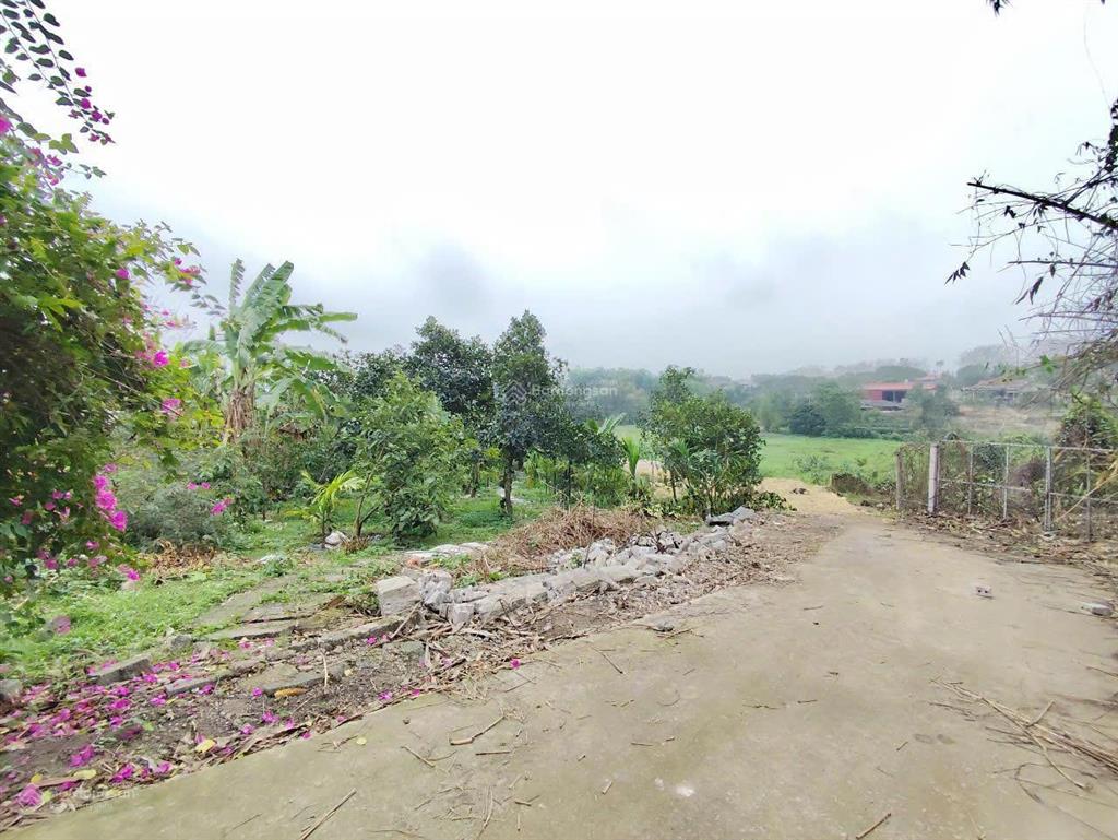Mảnh đất nghỉ dưỡng ba trại sẵn khuôn viên nhỏ xinh có ao vườn cây ăn trái gần tl86trườngchợtrạm