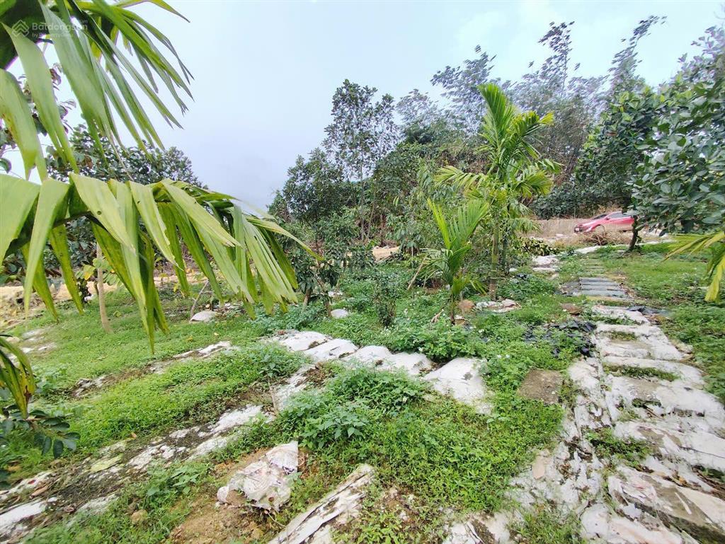 Mảnh đất nghỉ dưỡng ba trại sẵn khuôn viên nhỏ xinh có ao vườn cây ăn trái gần tl86trườngchợtrạm