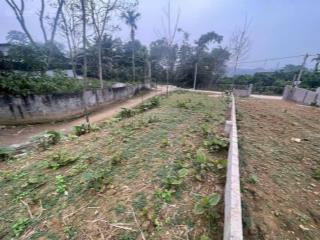 Lô góc ba trại đường thông, cách tl87, chợ, hội trường vài trăm mét, gần các điểm du lịch nổi tiếng