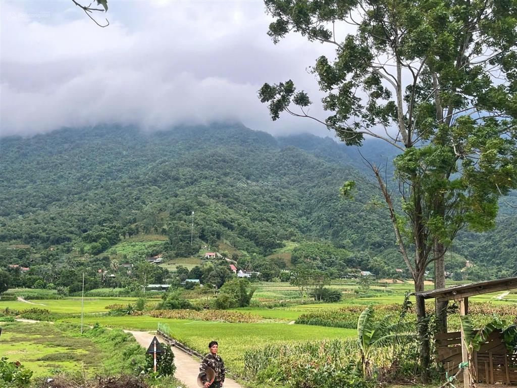 Tuyệt phẩm nghỉ dưỡng view đẹp ngút ngàn bậc nhất ba vì bám đường trục chính ngay cổng làng sầm uất