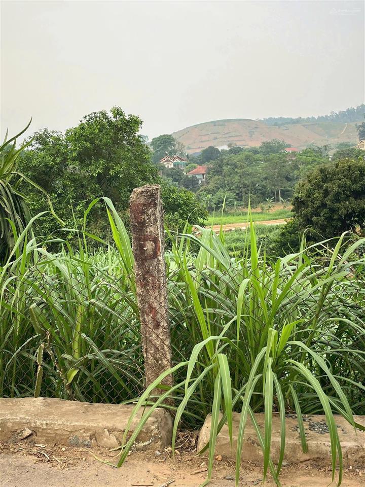 Đất ba vì có 23m mặt tiền đường nhựa huyện lộ sầm uất, cách tl414 chỉ hơn 100m, view núi thoáng mát