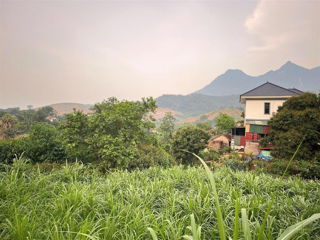 Đất ba vì có 23m mặt tiền đường nhựa huyện lộ sầm uất, cách tl414 chỉ hơn 100m, view núi thoáng mát