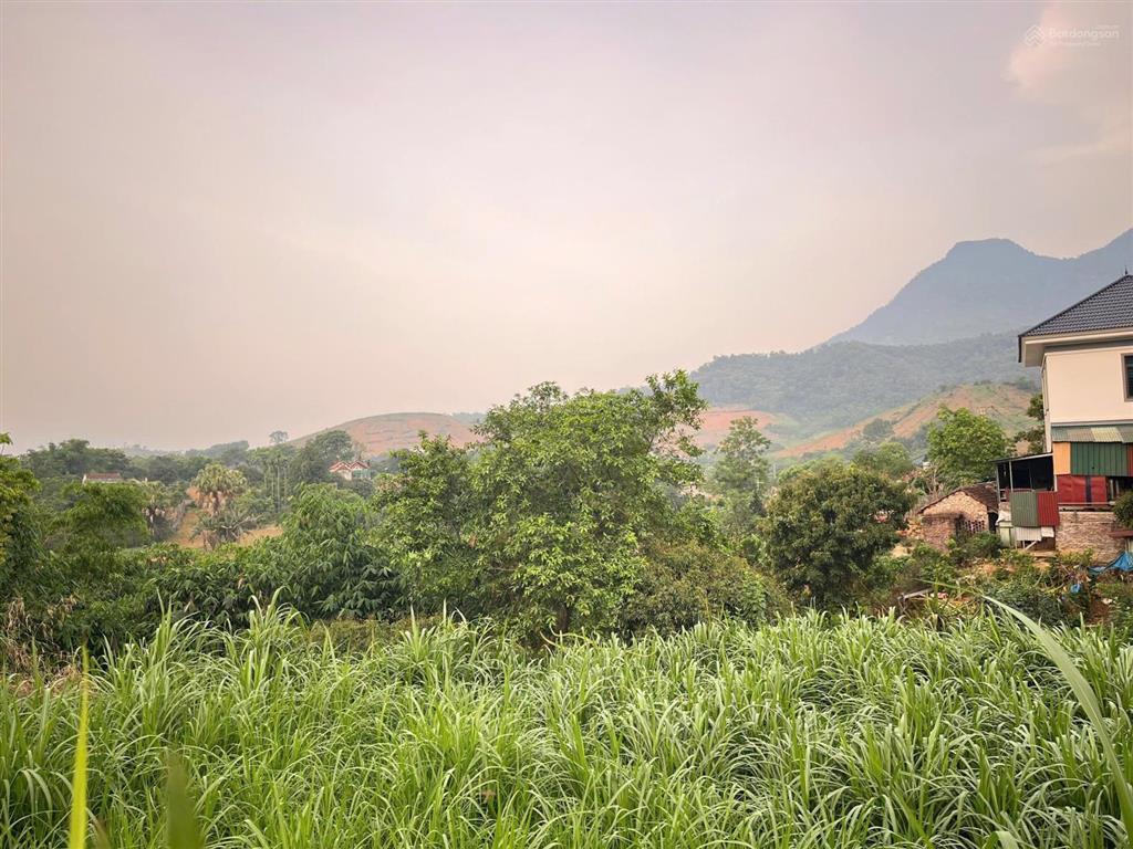 Đất ba vì có 23m mặt tiền đường nhựa huyện lộ sầm uất, cách tl414 chỉ hơn 100m, view núi thoáng mát