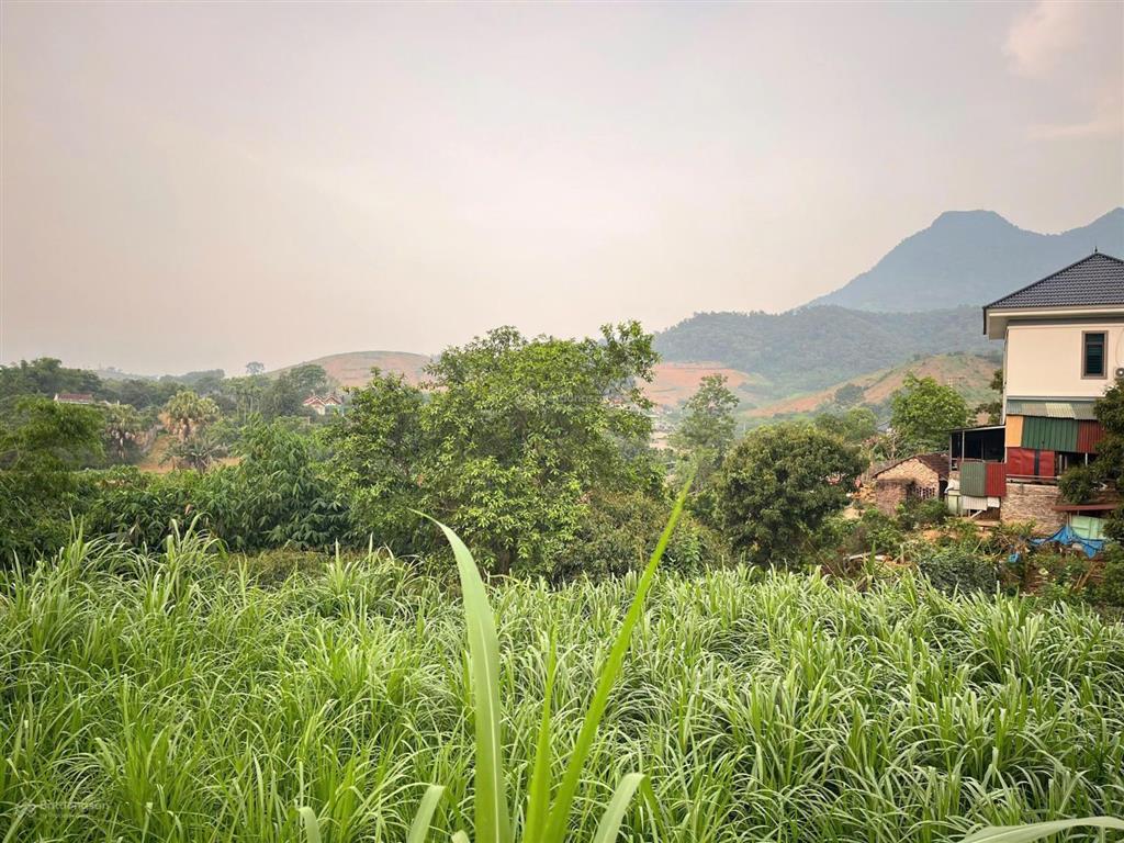 Đất ba vì có 23m mặt tiền đường nhựa huyện lộ sầm uất, cách tl414 chỉ hơn 100m, view núi thoáng mát