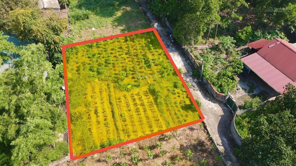 Đất tt xã cẩm lĩnh có 22m mt chia được làm 3 lô, cách đường nhựa xe bus 500m, gần trườngchợub xã