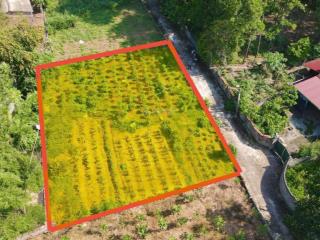 Đất tt xã cẩm lĩnh có 22m mt chia được làm 3 lô, cách đường nhựa xe bus 500m, gần trườngchợub xã