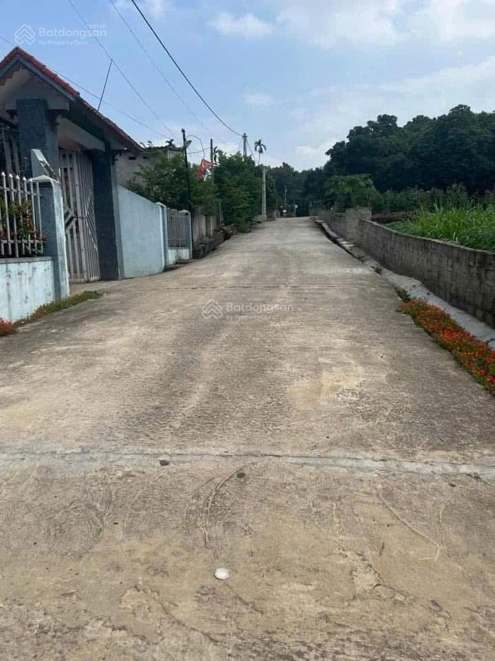 Đất tt xã cẩm lĩnh có 22m mt chia được làm 3 lô, cách đường nhựa xe bus 500m, gần trườngchợub xã