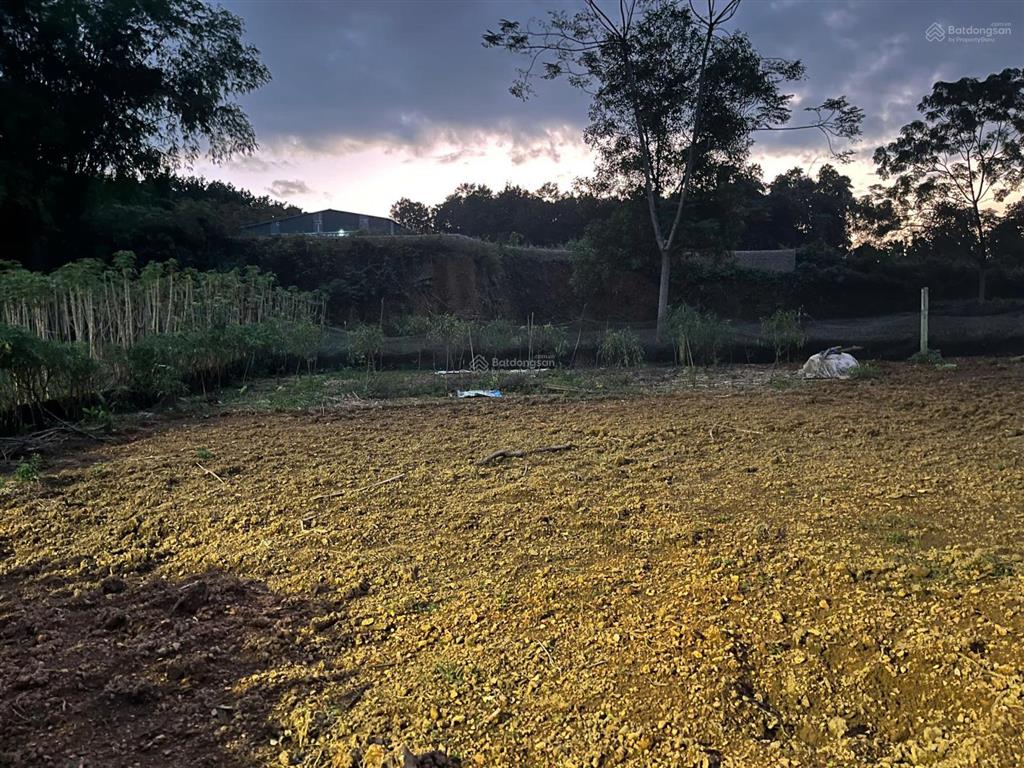 Hàng mới f0 của dân cắt bán 8mx39m mặt đường trục chính ba trại gần tlngã 3 chằm mè full tiện ích