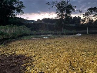 Hàng mới f0 của dân cắt bán 8mx39m mặt đường trục chính ba trại gần tlngã 3 chằm mè full tiện ích