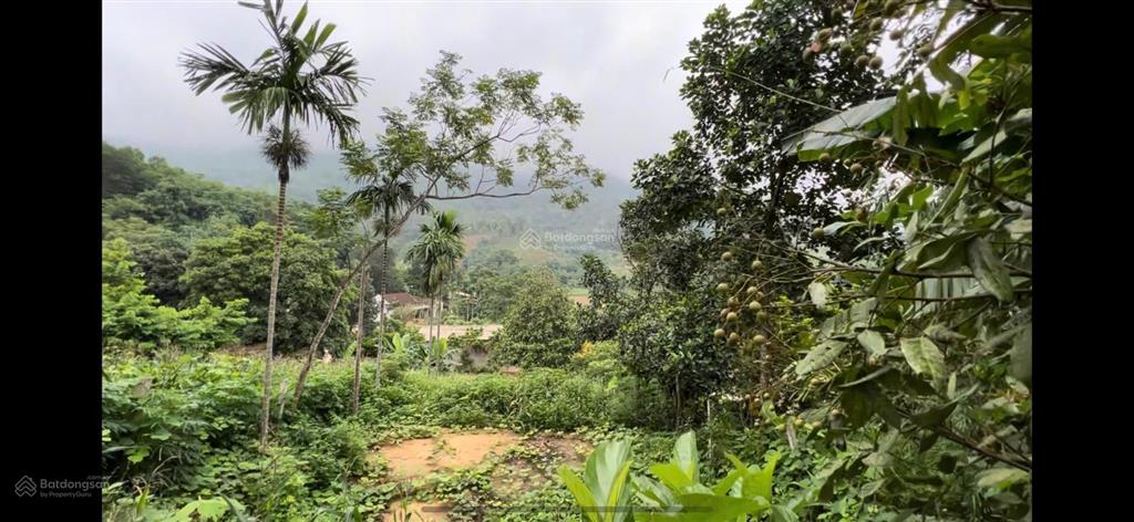 Đất nghỉ dưỡng khánh thượng view triệu đô, có 10m bám đường trục chính rộng 89m, kd buôn bán tốt