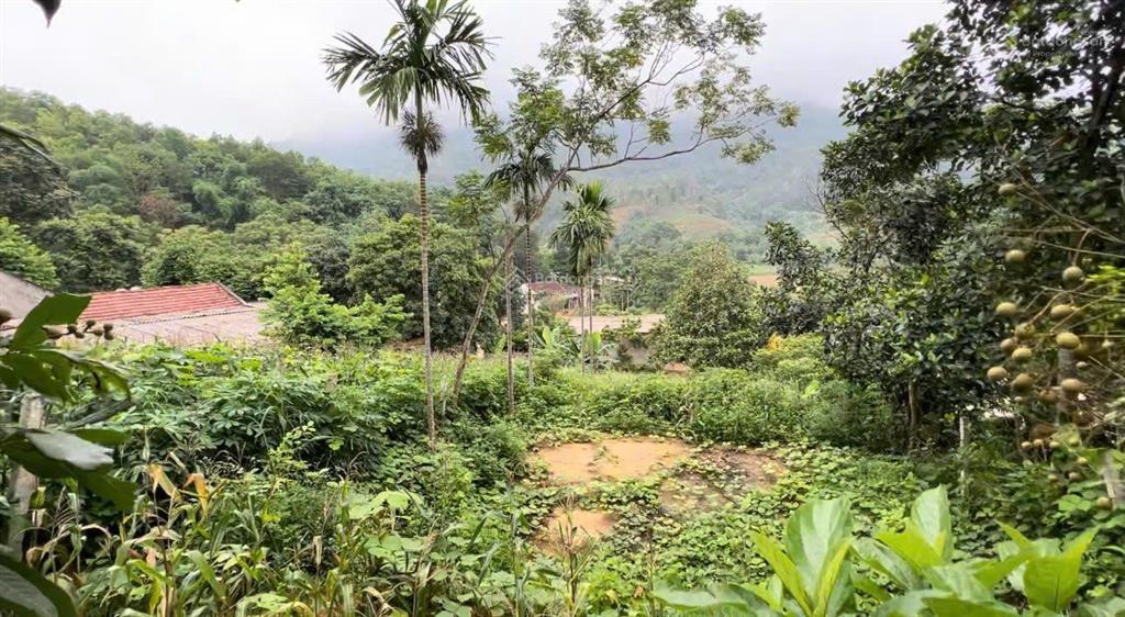 Đất nghỉ dưỡng khánh thượng view triệu đô, có 10m bám đường trục chính rộng 89m, kd buôn bán tốt