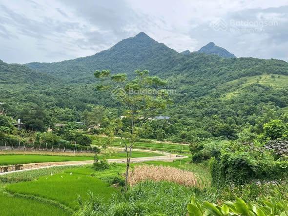 Đất nghỉ dưỡng làng dy sẵn ao nhỏview núicánh đồngmặt đường trục chínhxung quanh nhiều homestay