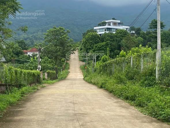 Đất nghỉ dưỡng làng dy sẵn ao nhỏview núicánh đồngmặt đường trục chínhxung quanh nhiều homestay