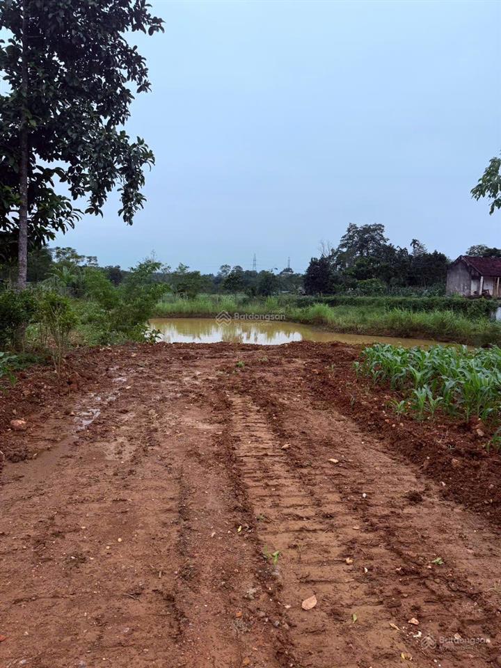 Đất nghỉ dưỡng làng dy sẵn ao nhỏview núicánh đồngmặt đường trục chínhxung quanh nhiều homestay
