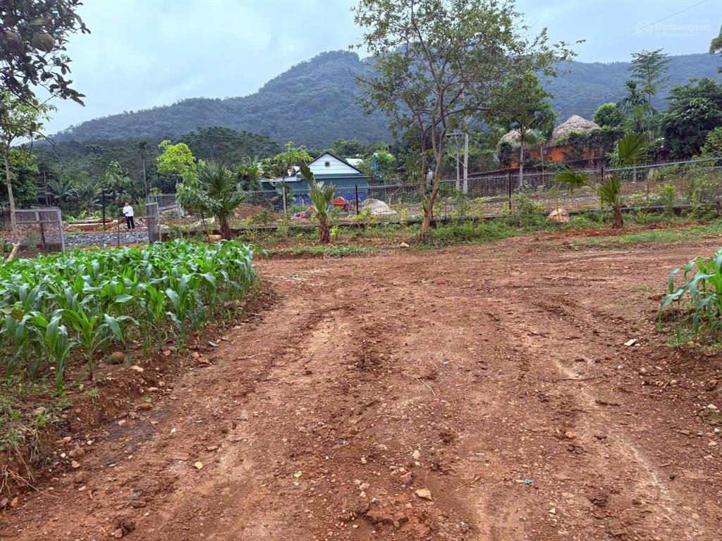 Đất nghỉ dưỡng làng dy sẵn ao nhỏview núicánh đồngmặt đường trục chínhxung quanh nhiều homestay