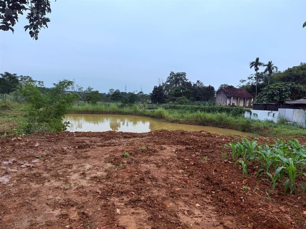 Đất nghỉ dưỡng làng dy sẵn ao nhỏview núicánh đồngmặt đường trục chínhxung quanh nhiều homestay