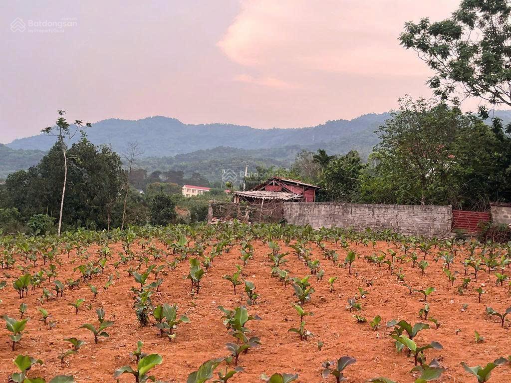 Đất nghỉ dưỡng minh quang gần đường tỉnh lộ, gần hồ lớn tự nhiên, view núi, view sông đà thoáng đẹp