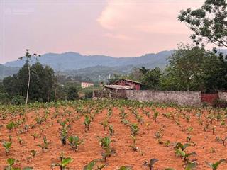 Đất nghỉ dưỡng minh quang gần đường tỉnh lộ, gần hồ lớn tự nhiên, view núi, view sông đà thoáng đẹp