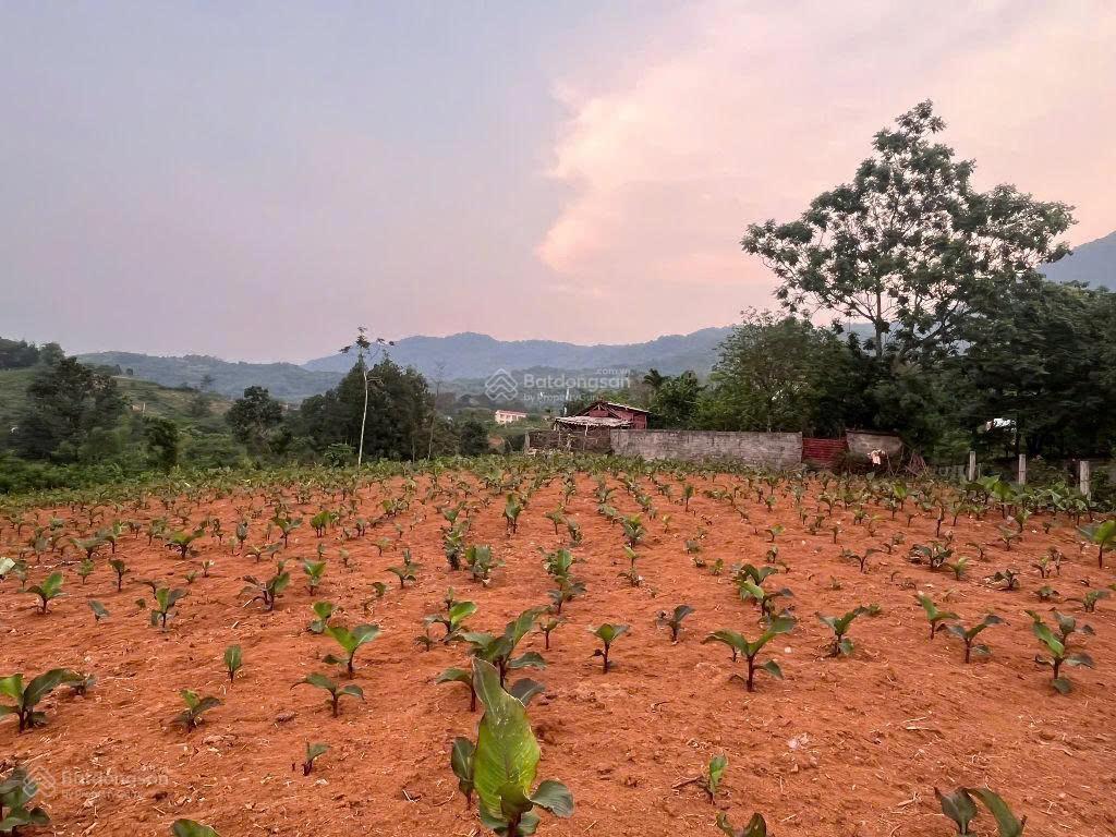 Đất nghỉ dưỡng minh quang gần đường tỉnh lộ, gần hồ lớn tự nhiên, view núi, view sông đà thoáng đẹp