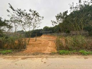 Giá chạm đáy cho các nhà đầu tư, chỉ 283tr/m mặt đường tl413, trung tâm xã mới tại sơn đàba vìhn