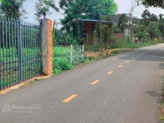 Chính chủ bán vườn 2500m2 có nhà cấp 4 ngay ubnd tân hiệp  phú giáo  bình dương giá rẻ